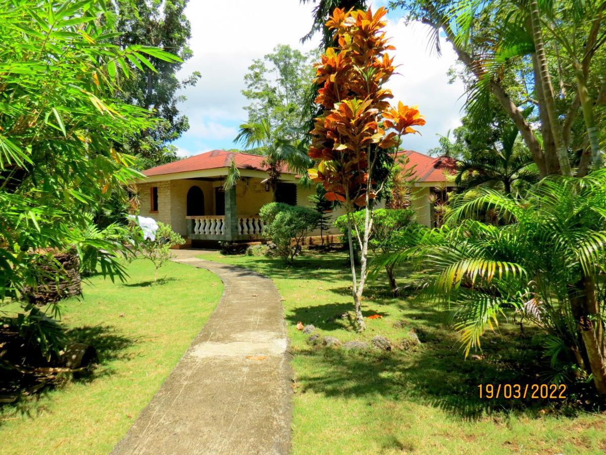 Alonaland Resort Panglao Dış mekan fotoğraf