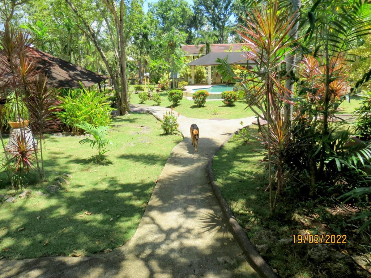 Alonaland Resort Panglao Dış mekan fotoğraf