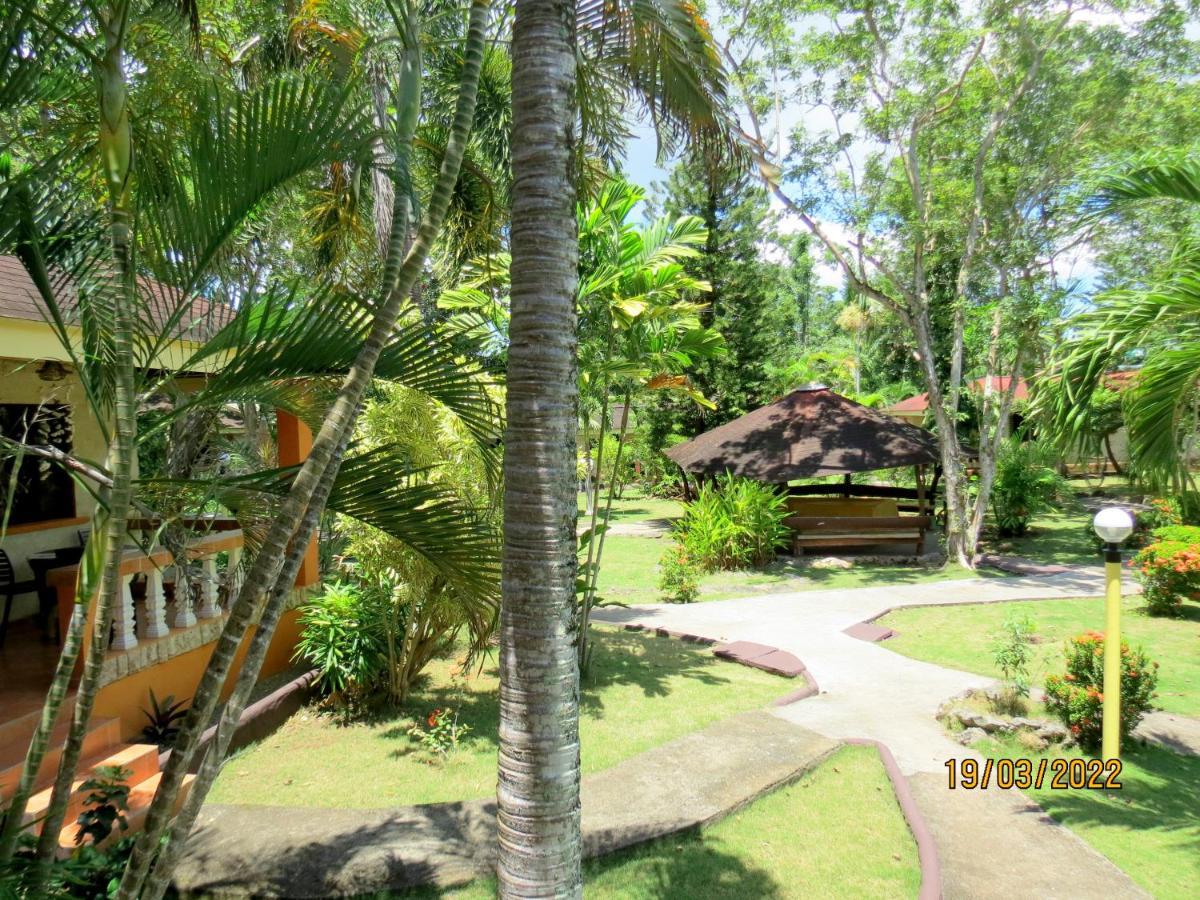Alonaland Resort Panglao Dış mekan fotoğraf