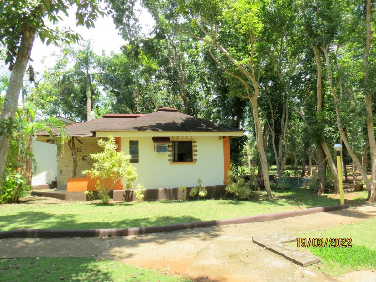 Alonaland Resort Panglao Dış mekan fotoğraf
