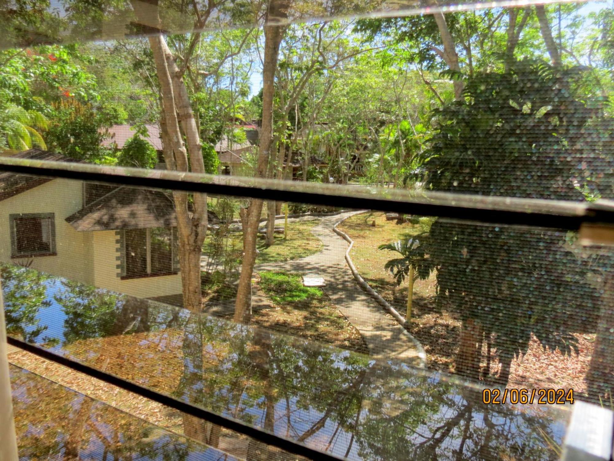 Alonaland Resort Panglao Dış mekan fotoğraf