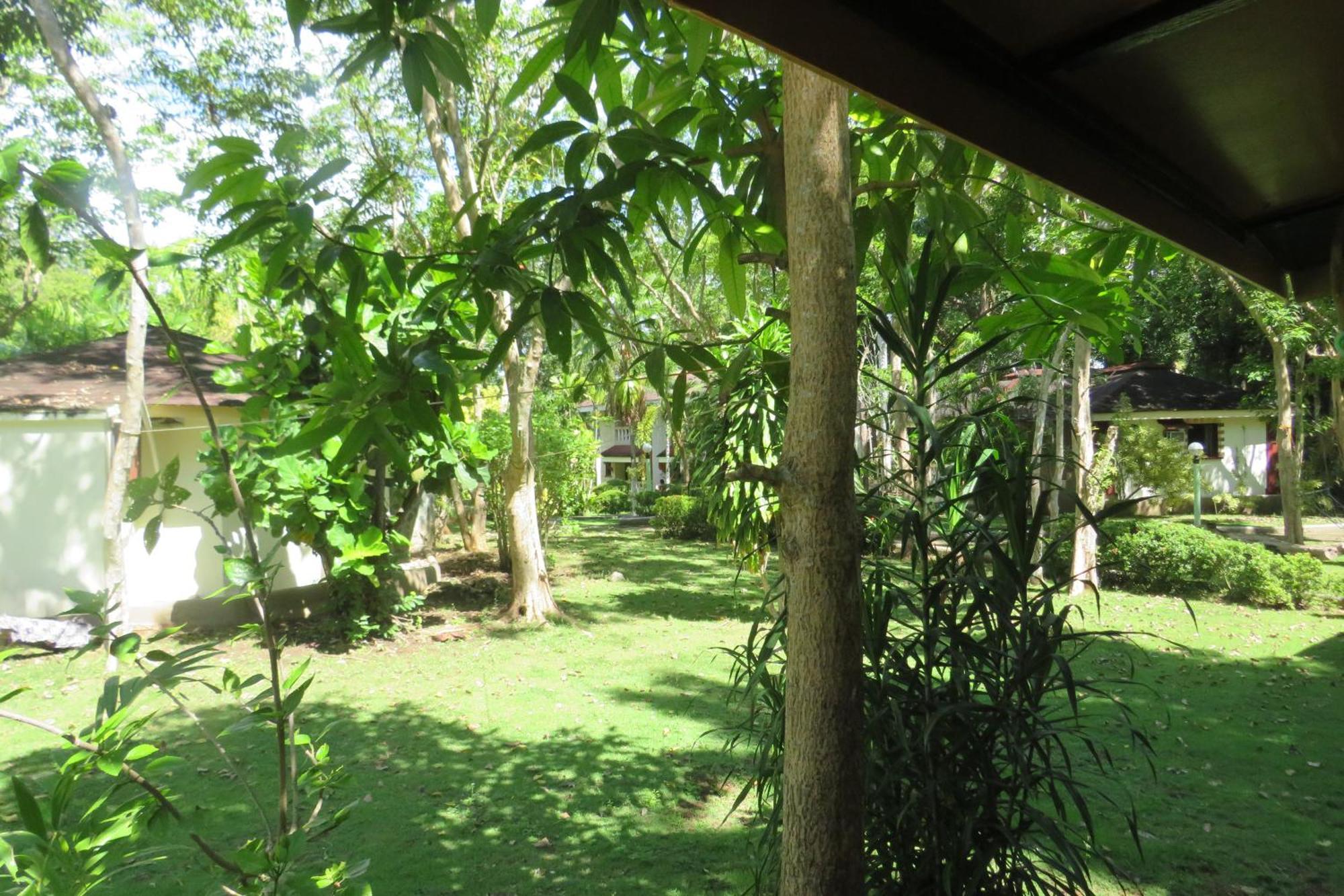 Alonaland Resort Panglao Dış mekan fotoğraf