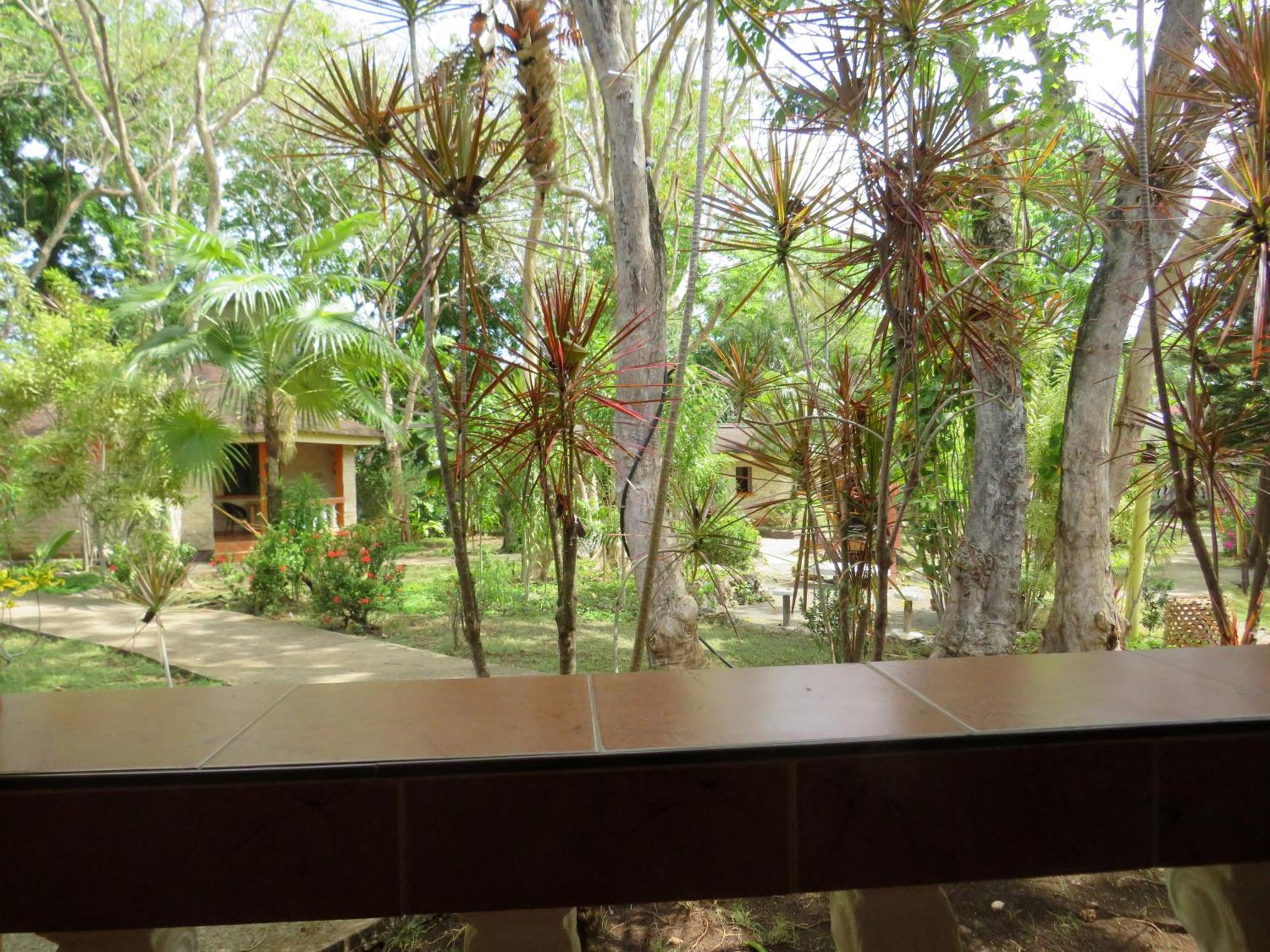 Alonaland Resort Panglao Dış mekan fotoğraf